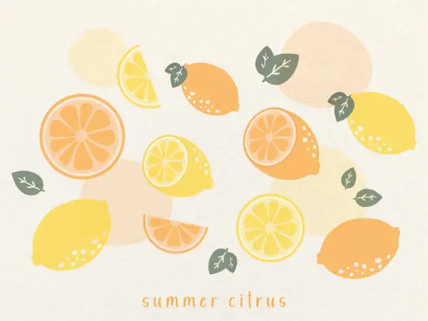 Vector illustration of hand drawn vector mnimal illustration set of pastel citrus doodle clip art elements. Lemon in half, cute, slice