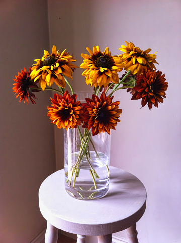 Bouquet of bright flowers (Helenium autumnale) in a glass vase on a stool