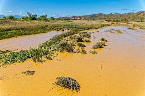 Looking upstream at the flooded Olifants River in the Little Karoo near Oudtshoorn following heavy rain