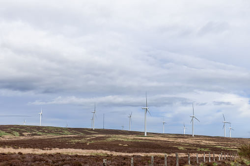 A row of wind turbines stretches across the heathland of Scotland, showcasing the seamless integration of renewable energy sources within the natural landscape, under a vast, cloudy sky