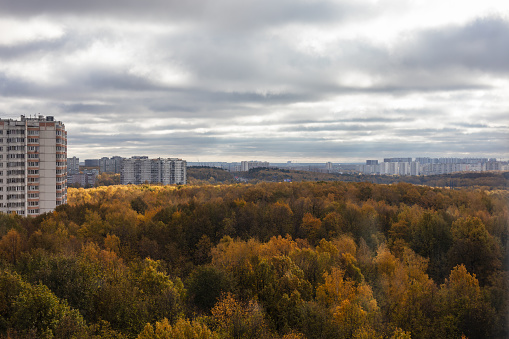 autumn landscape in the city