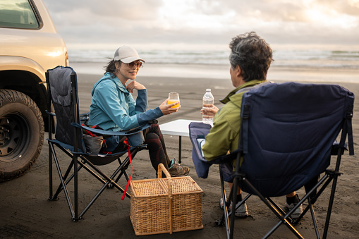 Senior Asian couple having a picnic at the beach