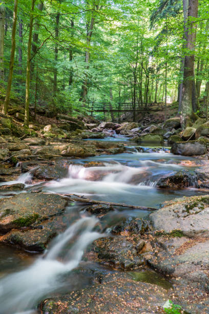 istock Ilse Valley (Ilsetal) in the Harz Mountains, Germany 2140401616