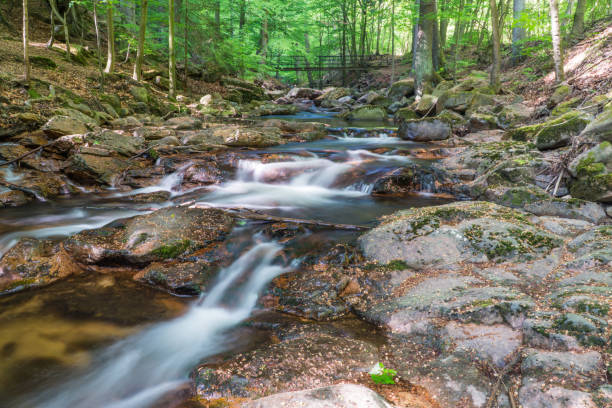 istock Ilse Valley (Ilsetal) in the Harz Mountains, Germany 2140401622