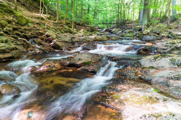 istock Ilse Valley (Ilsetal) in the Harz Mountains, Germany 2140401640
