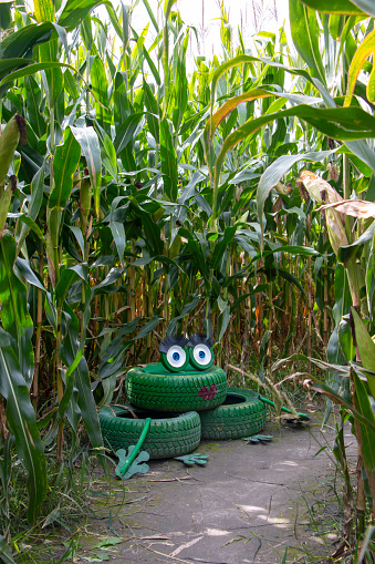 A vertical shot of recycled tire frog art installation in a cornfield