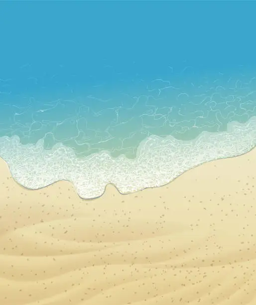 Vector illustration of nature coastline