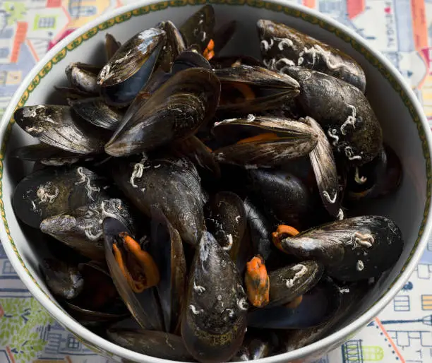 ypical bivalves from the estuaries of Galicia, in the northwest of Spain, famous for their quality and intense flavor