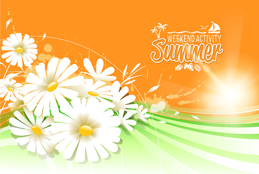 Drawn of vector spring flower. This file of transparent and created by illustrator CS6