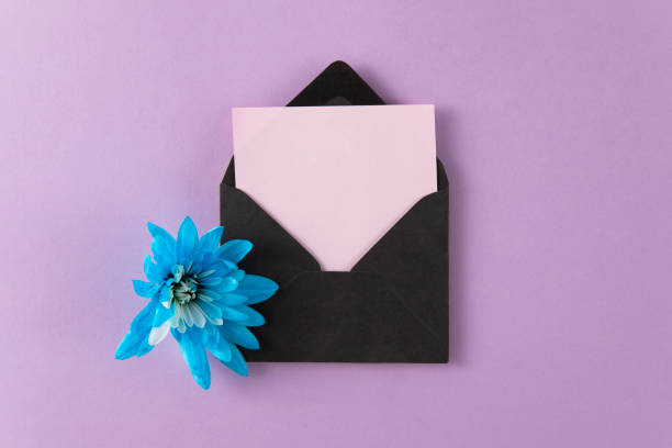 Mother’s day concept flowers in envelope with greeting card on purple background