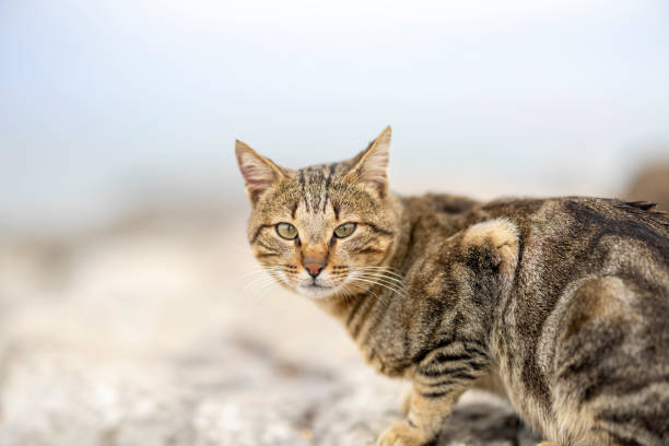 Taken by Canon EOS R5 with 85 mm f: 1.2