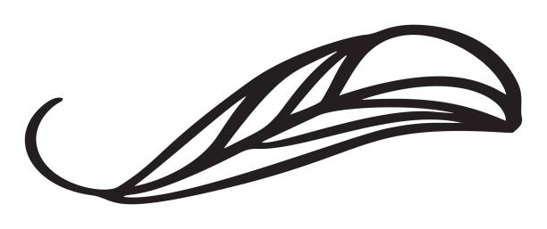 ilustrações de stock, clip art, desenhos animados e ícones de abstract leaf vector line icon. vintage minimal style illustration for kids book design or web, logo eco product - 12014