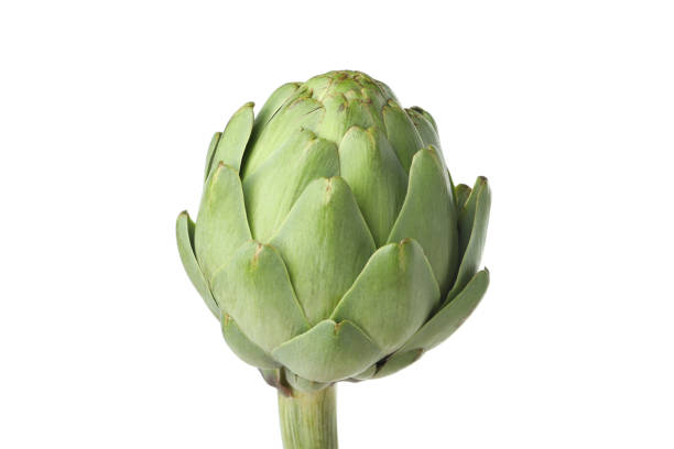 istock Fresh raw artichoke isolated on white background 2140599509
