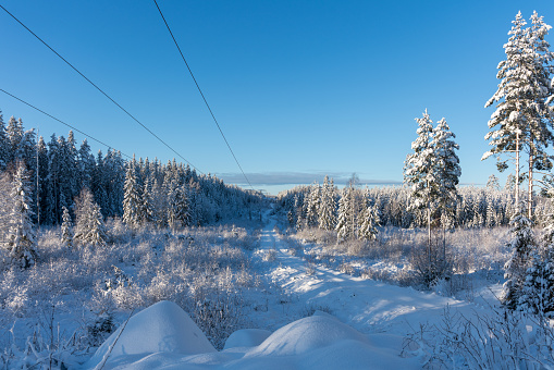 Powerlines and a small countryside road in winter crossing a snow covered forest