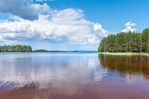 Beautiful summer view across the water in a lake in Sweden, with clear water, sunlight and a blue sky with white clouds