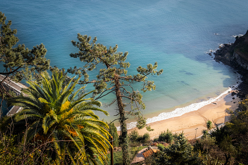 Aerial shot captures Lastres beach, turquoise waters, palm trees, warm tones.