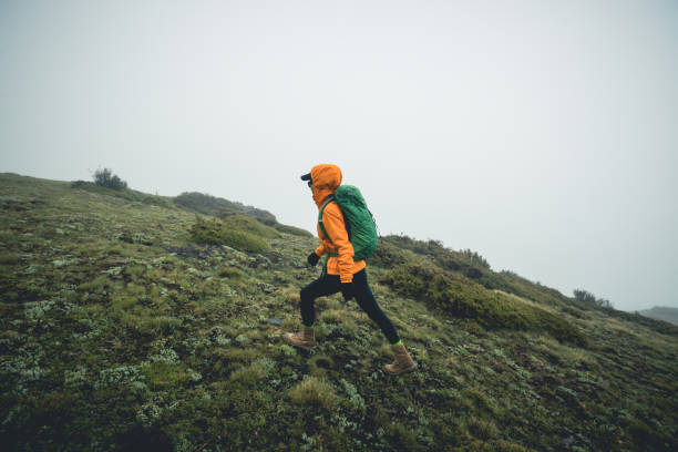 istock Hiking woman on high altitude mountain top 2140689310