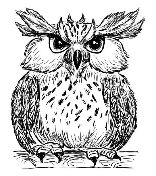 Vector illustration of Owl bird, cartoon, cute, funny, one, sketch,black and white,hand drawn vector illustration, isolated