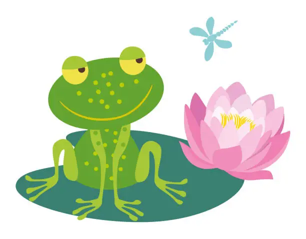 Vector illustration of Frog cartoon green cheerful sitting on leaf pink water lily, summer pond, flying dragonfly, vector illustration isolated on white