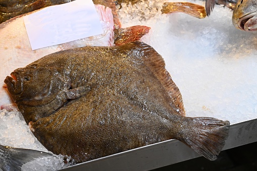 Plaice on the ice of a fishmonger's stall close-up