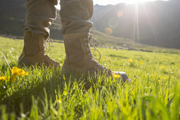 Woman hiker standing on summer high altitude grassland