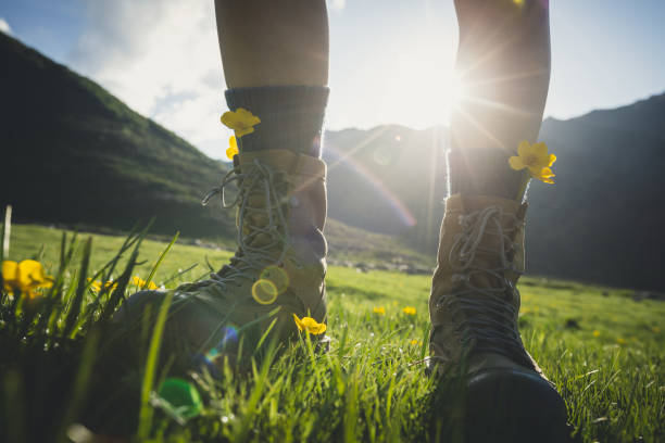 istock Woman hiker standing on summer high altitude grassland 2140758041