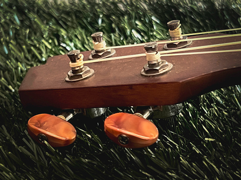 Ukulele headstock with tuning pegs made from wood,use for set up sound,parts of acoustic instrument.