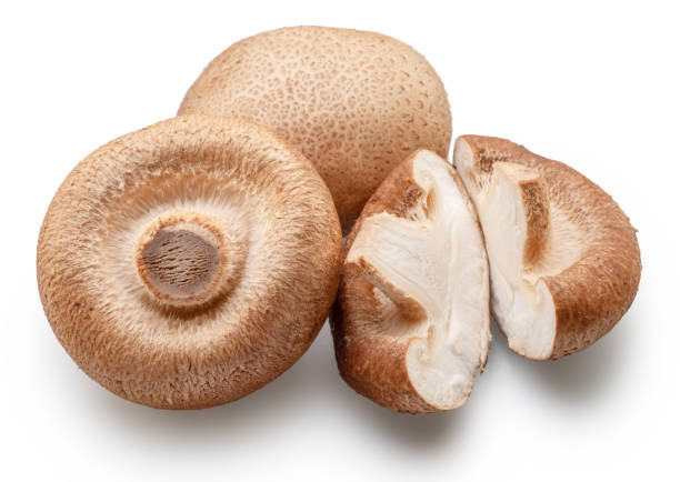 istock Shiitake - edible asian mushrooms isolated on white background. 2140771056