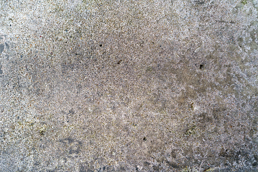 Grunge texture with fungal mold growth on a cement wall.