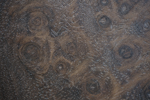 Brown natural wood inlay texture extreme close-up on a car door panel.