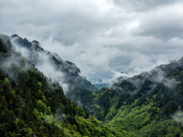 istock Stormy skies over a steep forested valley (Kurobe Dam in the Japanese Northern Alps) 2140901551