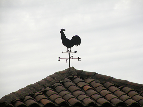 Rooster shape weather vane pointing to the four cardinal points