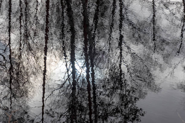 istock reflection of trees and other natural materials in water 2140941954