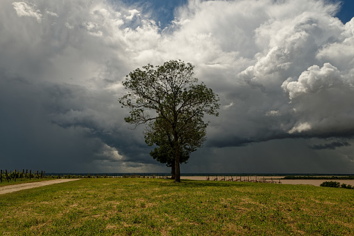 Stormy sky landscape with tree overhanging a river. Weather threat imminent thunderstorm.