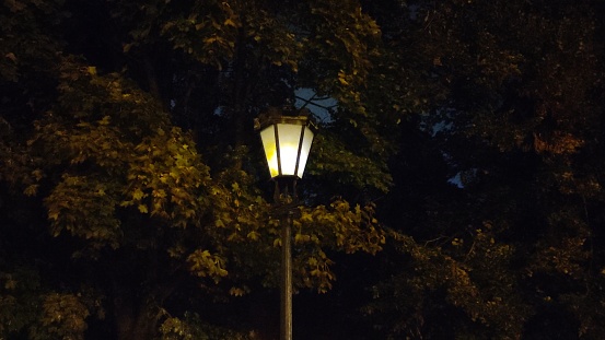 Flickering lantern in a park at night against a background of dark sky and foliage