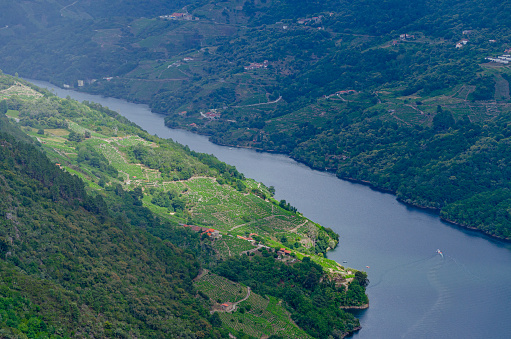 aerial view with drone of a tourist cruiser navigating the Sil river canyon, Ribeira Sacra.