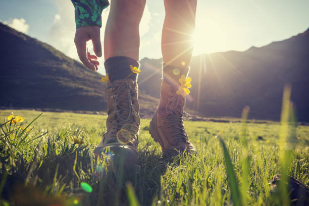 istock Woman hiker standing on summer high altitude grassland 2141073503