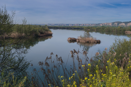 landscape spring view of the lake in the town of Vaciamadrid near Madrid