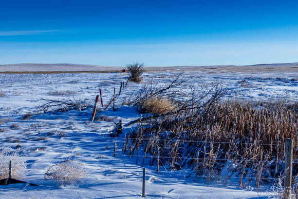 istock Snowy farmers fields, Rocky View County Alberta Canada 2141087845