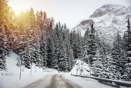 Winter road among forest in Dolomite mountains in Italy