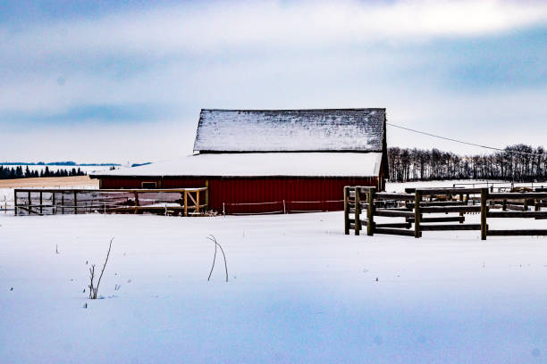 istock Winter drive through a winter wonderland, Mountain View County, Alberta, Canada 2141096427