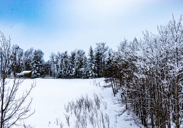 A winter drive through a winter wonderland, Mountain View County, Alberta, Canada