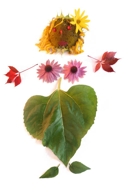 female figure made of sunflower and flowers