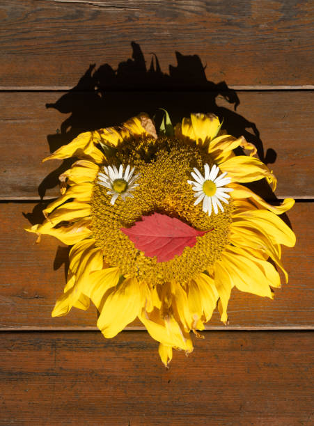 Girl, Caucasian child in a sun hat is happy, laughing cheerfully and looking at the camera. Girl with flowers in her hands.