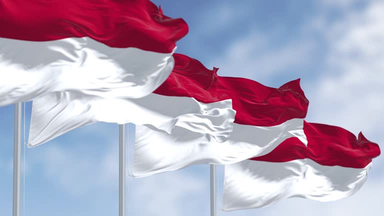 Group of Indonesia national flags waving in the wind on a clear day