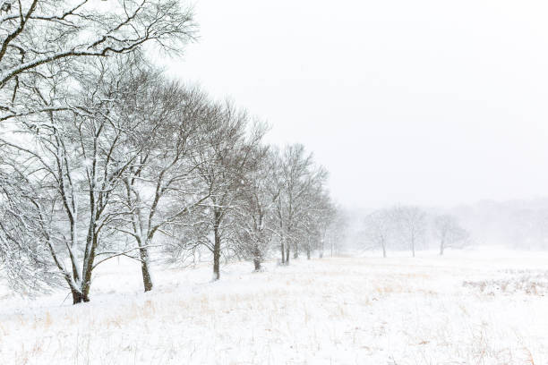 istock Winter time in Chatham, New Jersey 2141143227