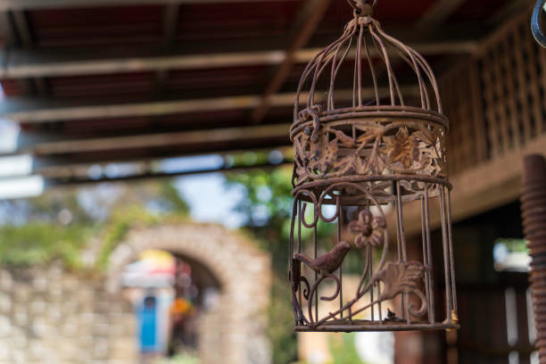 Gold colored metal birdcage before orange background. Horizontal composition with  copy space.