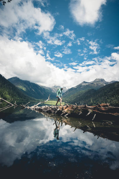 Hiking woman walking in high altitude forest