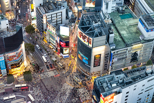 Tokyo, Japan - October 6, 2023: A view of the empty famous and colorful Shibuya crossing  intersection in Tokyo on a cloudy day from a high angle view above the street.