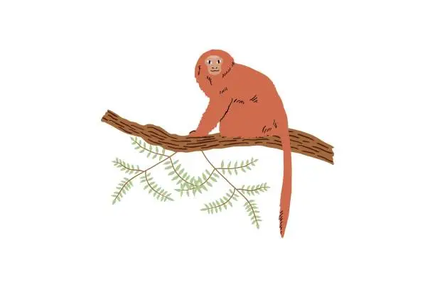 Vector illustration of Monkey drawn in flat style by hands. Wild nature, jungle. Vector illustration for design.